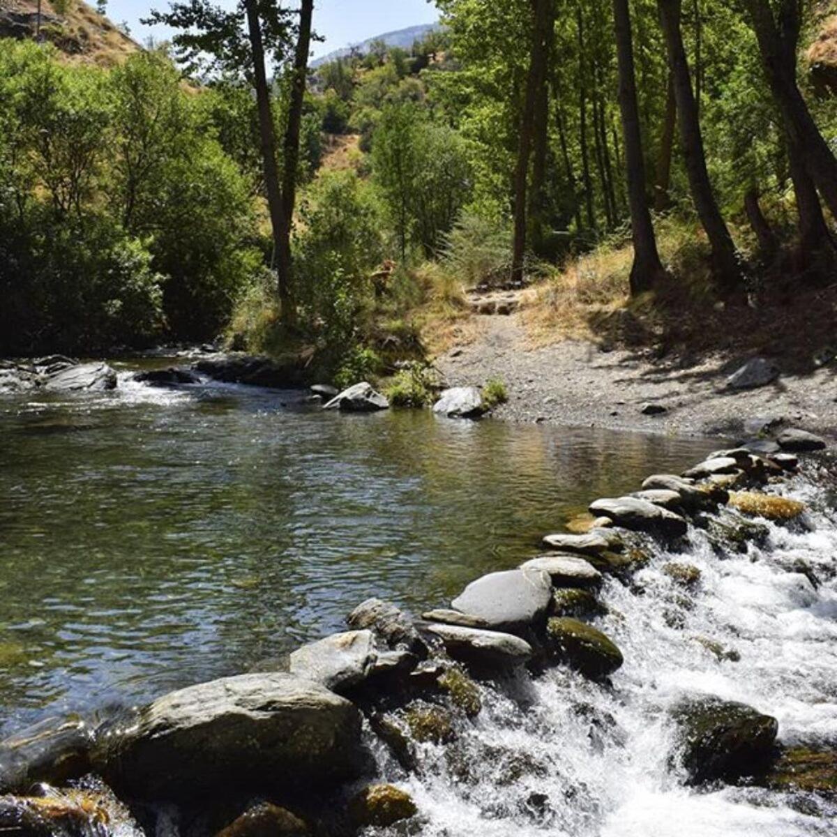 Coqueto Estudio Junto A Sierra Nevada Güéjar Sierra Kültér fotó
