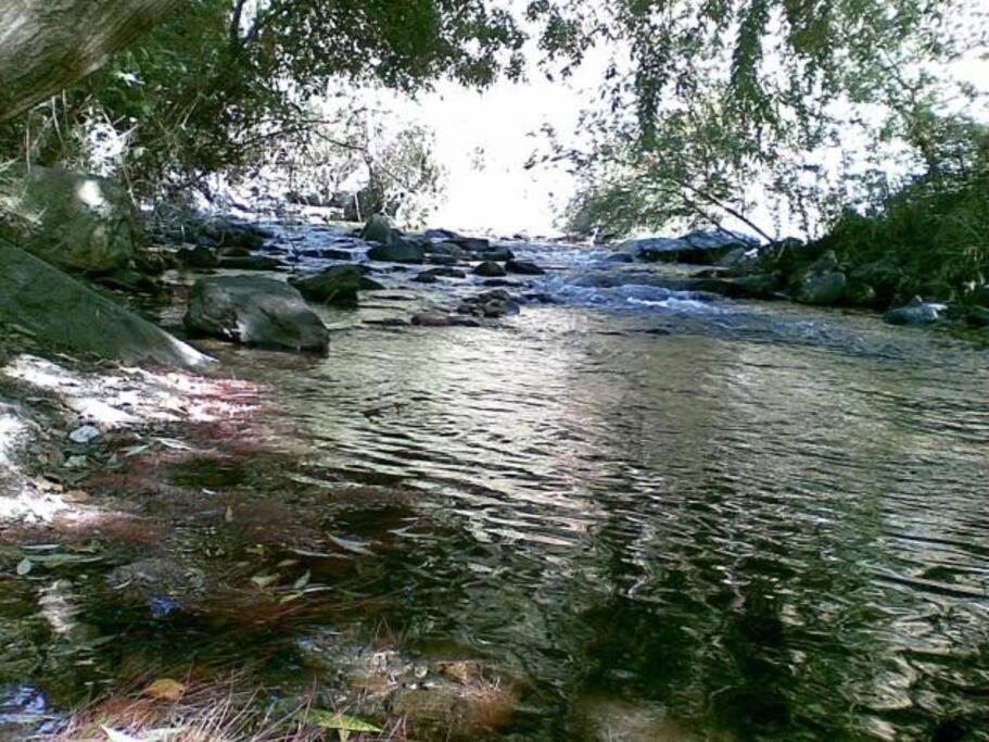 Coqueto Estudio Junto A Sierra Nevada Güéjar Sierra Kültér fotó